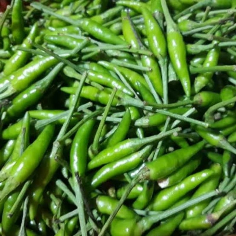 

CABE/CABAI RAWIT HIJAU