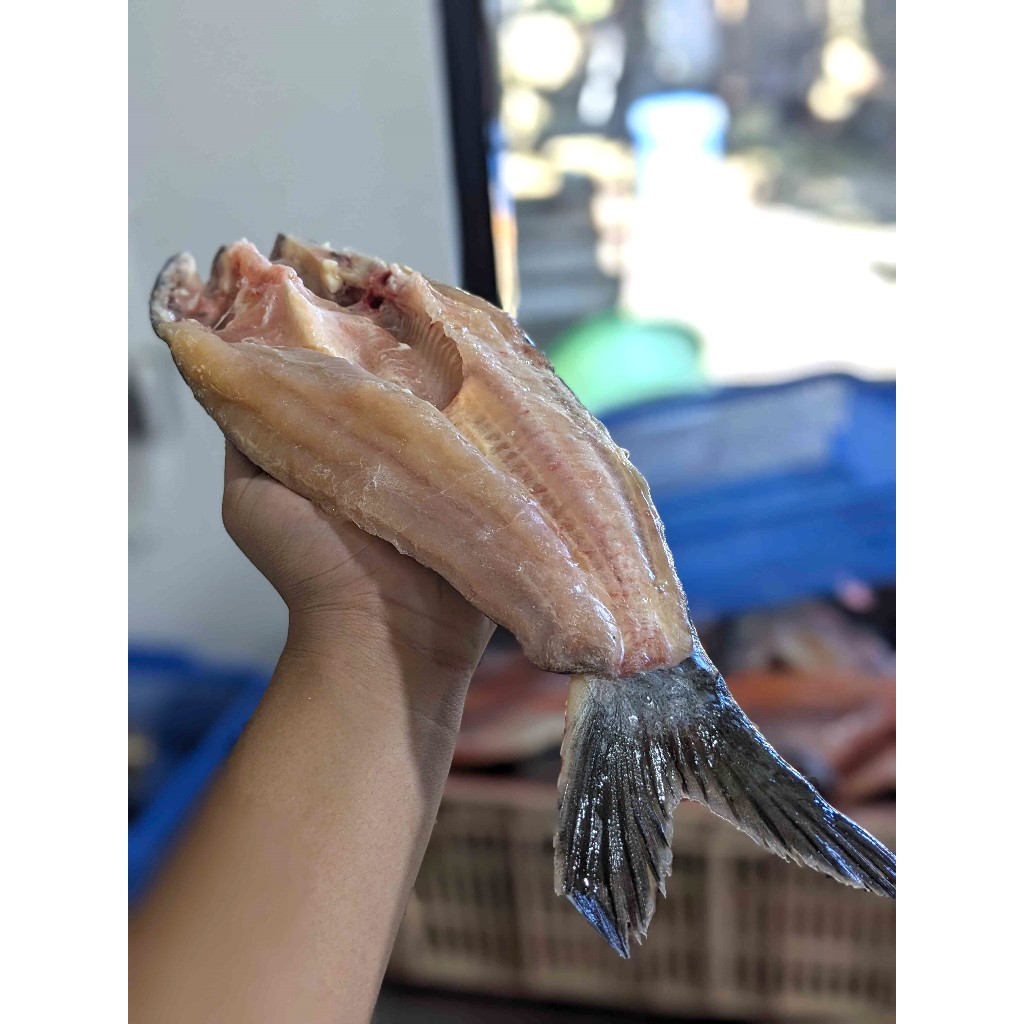 

Patin Belah Dua / Dory Butterfly Siap Bakar