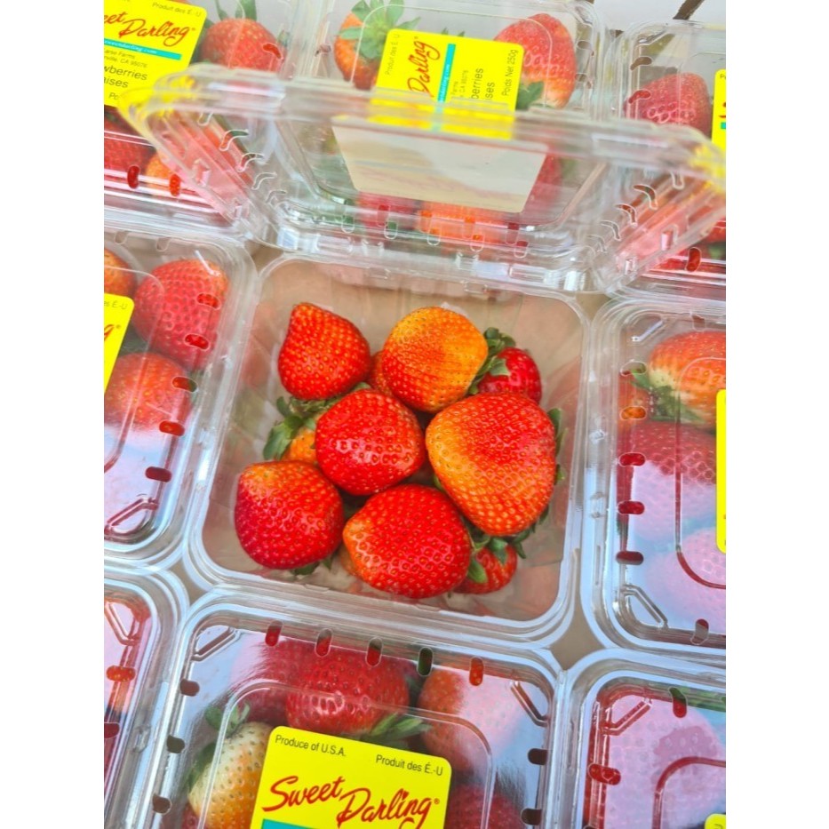 

Strawberry USA Sweet Darling 250 Gram