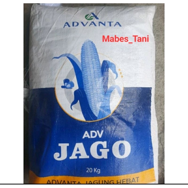 Benih Jagung Hibrida Advanta Jago / AV Jago 789 Repack