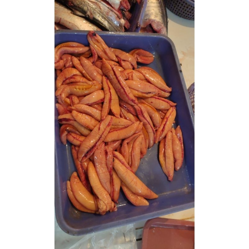 

telor ikan tngiri kmasan. 500gram beku fres