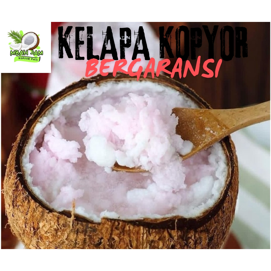 

Kelapa Kopyor murah size 41-42 CM