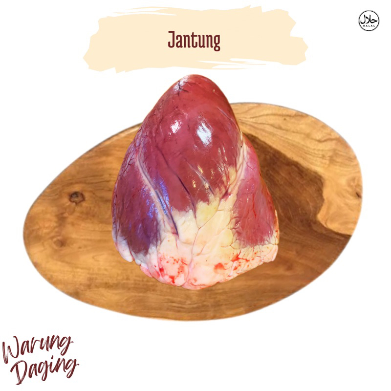 

Jantung Sapi 1 Kg