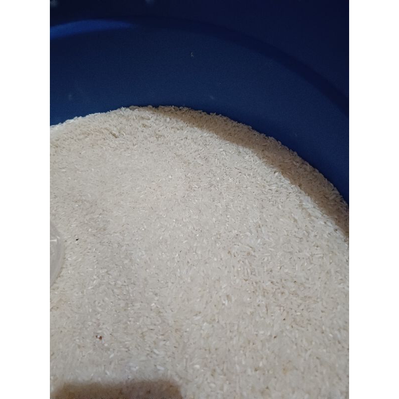 

Beras Medium 5 KG