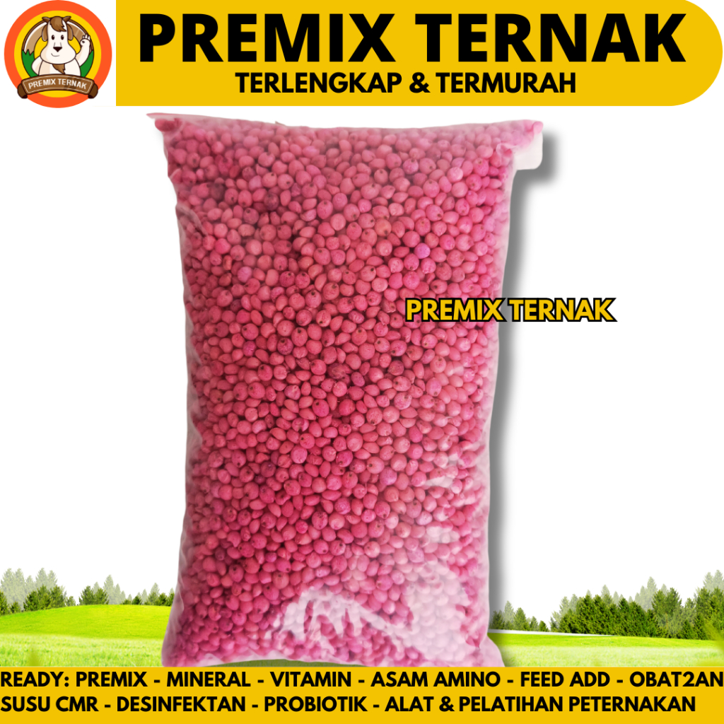 BENIH BIBIT SORGUM BIOGUMA 2 KEMASAN 1 KG - Benih Sorgum Bioguma - Biji Benih Sorghum