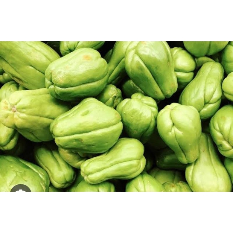 

perbiji labu siam / pampang online