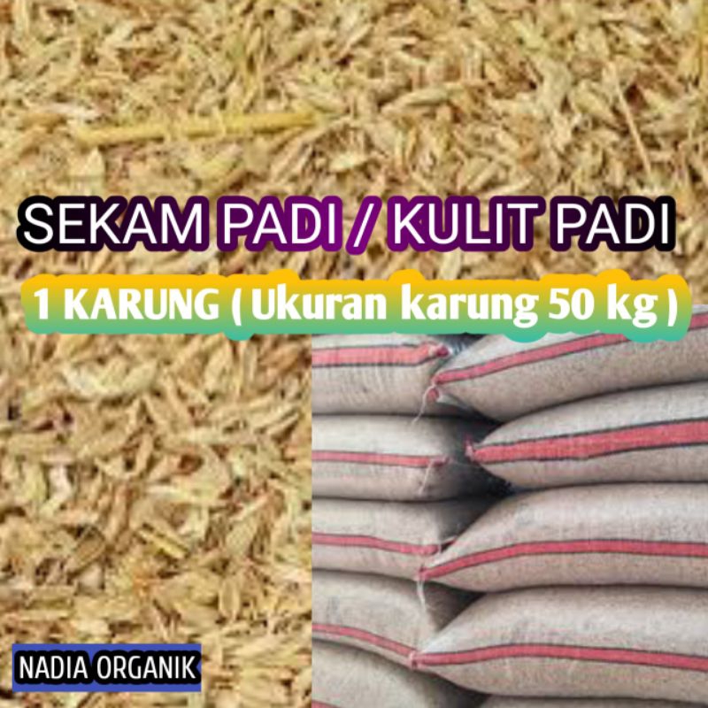 Sekam padi / Kulit padi 1 karung ( Ukuran karung 50 kg )