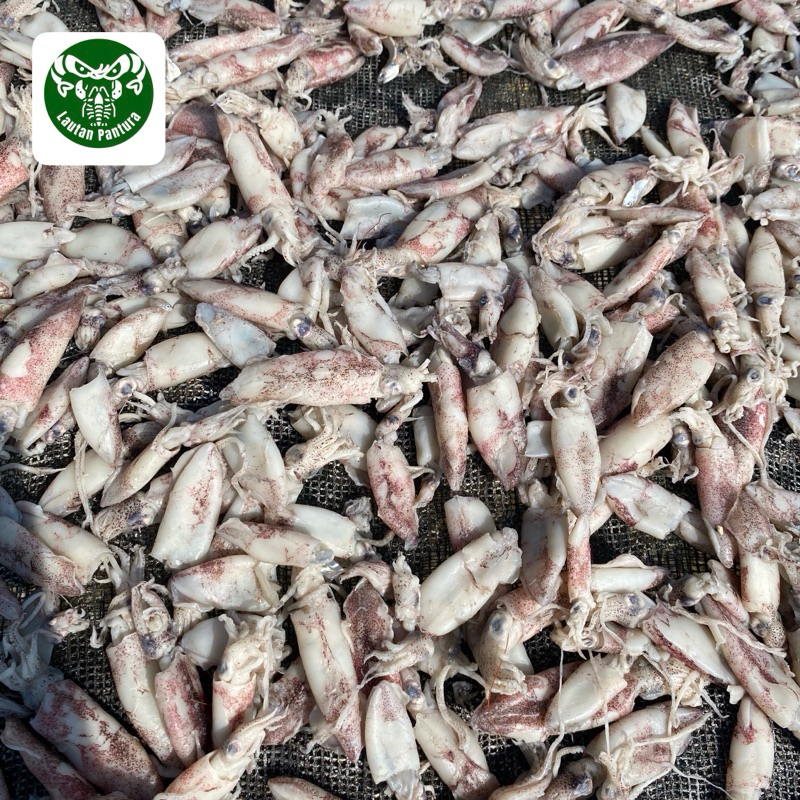 

Ikan Asin Cumi Kering 500-1000 Gr Size Standart Daging Empuk