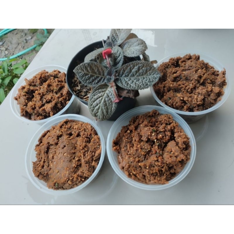 

sambel pecel nganjuk (jatim)