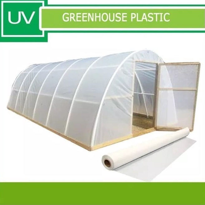 Plastik UV Atap Green House Tanaman Hidroponik Lebar 3 Meter Kualitas Plastik Tebal Warna Putih Susu