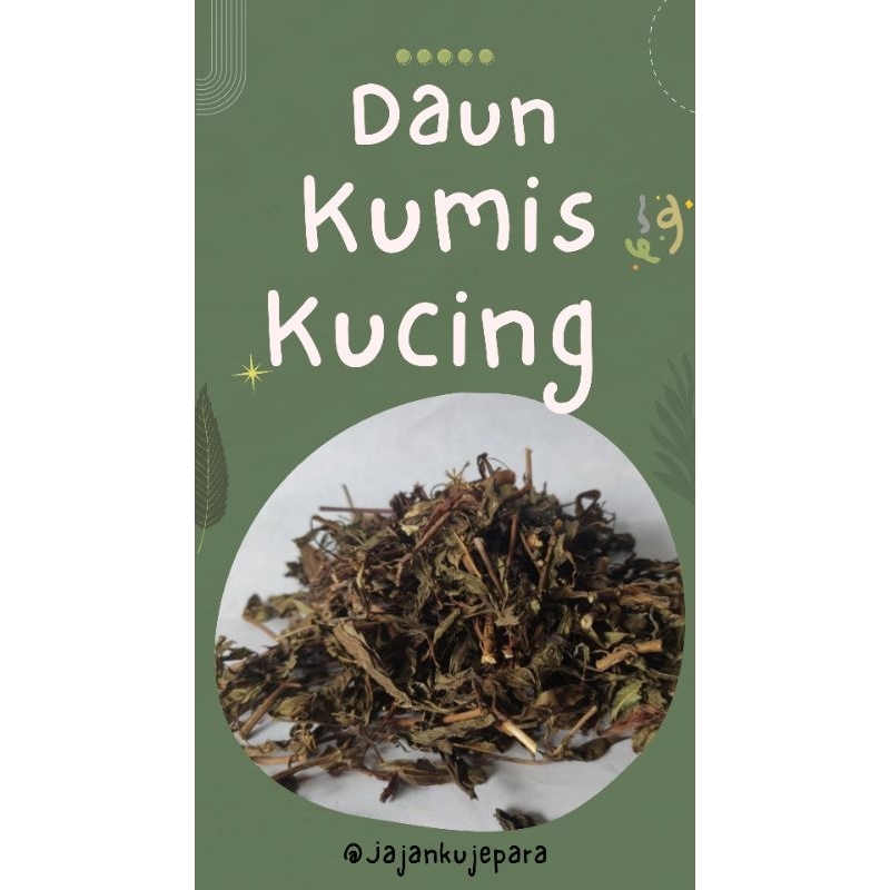 

Daun Kumis kucing kering / brengos kucing 100 gr