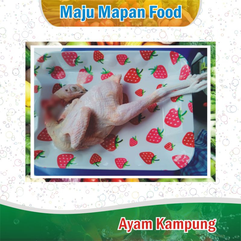 

Daging Ayam Kampung Segar Fresh