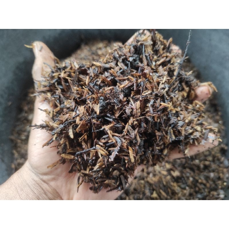Media Tanam Premium Siap Pakai 500gram