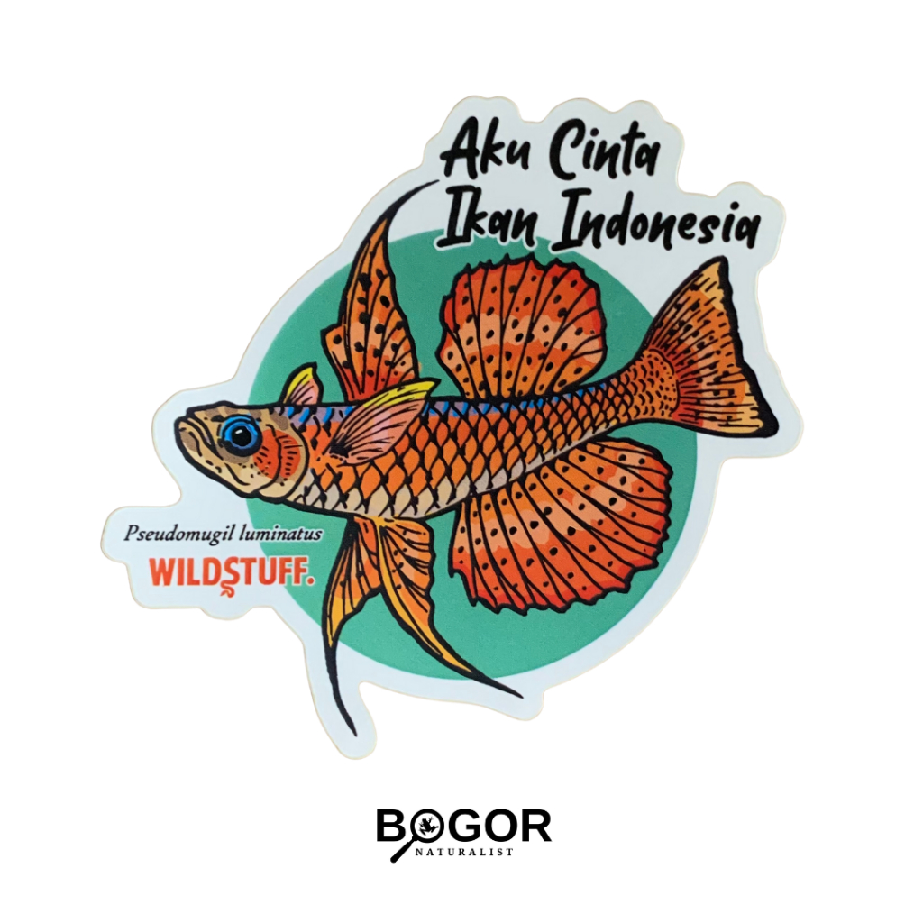 

Sticker Wildstuff Aku Cinta Ikan Indonesia Pseudomugil luminatus