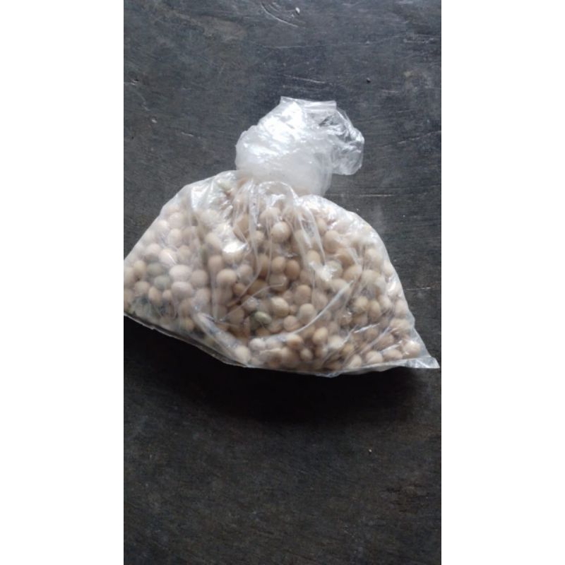 

kacang kedelai