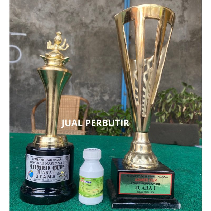 LIVERTRANS TOPSONG YANG ASLI