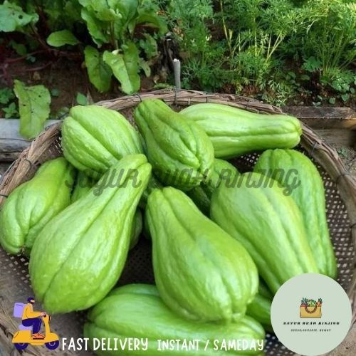 

INSTANT LABU LALAP / LABU KECIL / LABU KECIL SEGAR / LABU LALAP / LABU