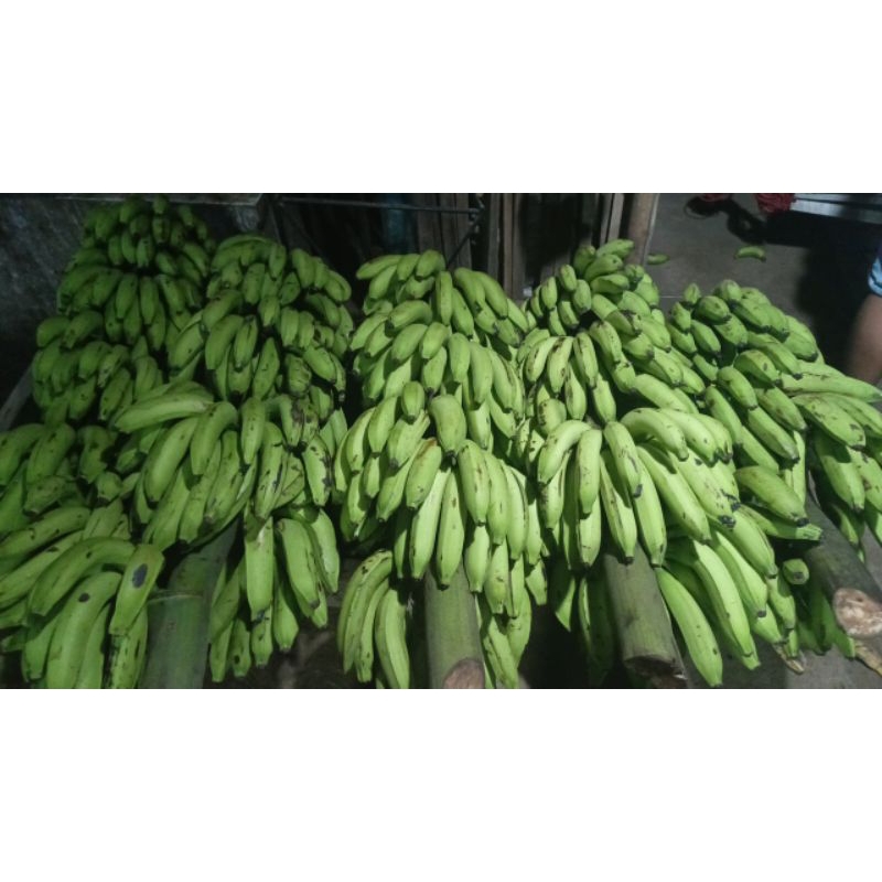 

Pisang Ambon Mentah 1kg