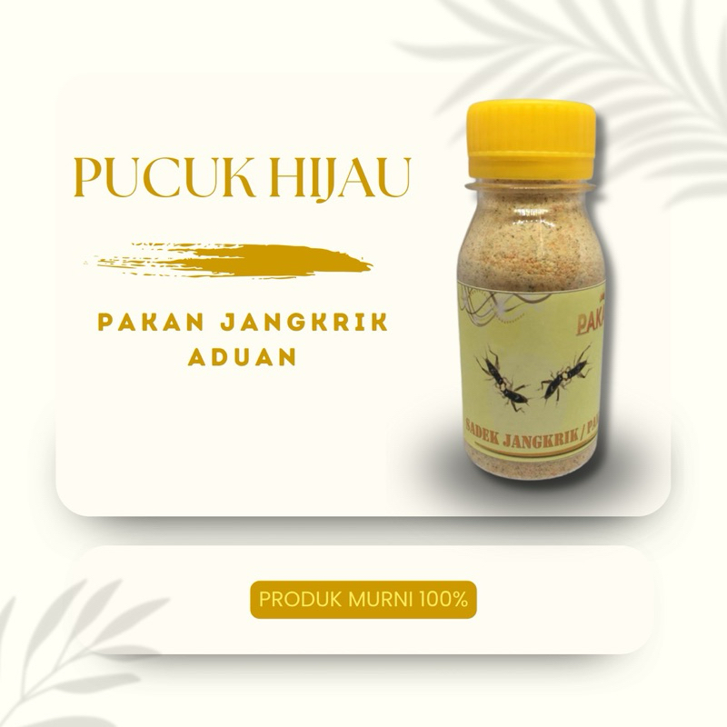 Pakan Jangkrik Aduan atau Sadek Jangkrik