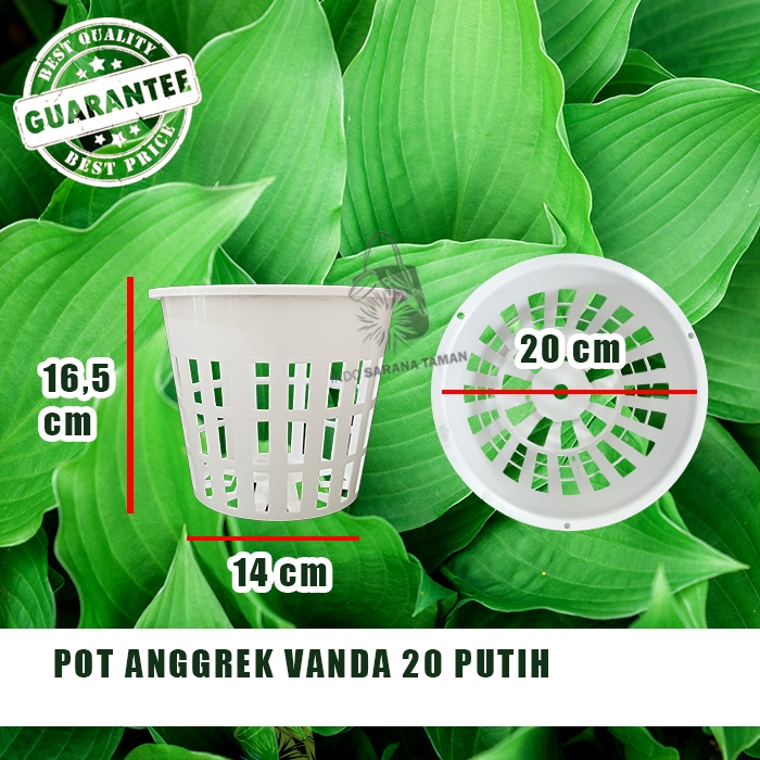 POT ANGGREK VANDA 20 PUTIH Pot Gantung Anggrek Pot Bunga Pot Tanaman Grosir Pot