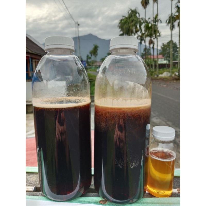 

Madu Murni Akasia 5Kg Full Nektar Madu Asli Bersanad