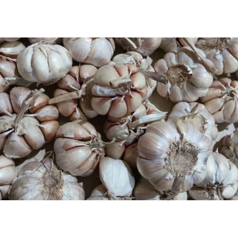 

Bawang putih 250 grm (¼kg)