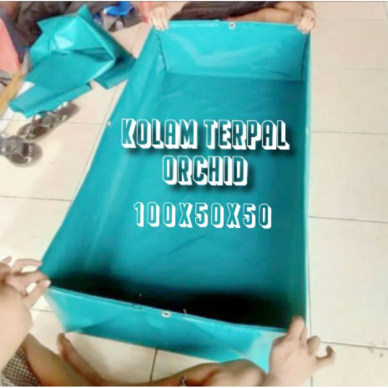 KOLAM TERPAL SEMI KARET ORCHID 100x50x50 SUPER TEBAL