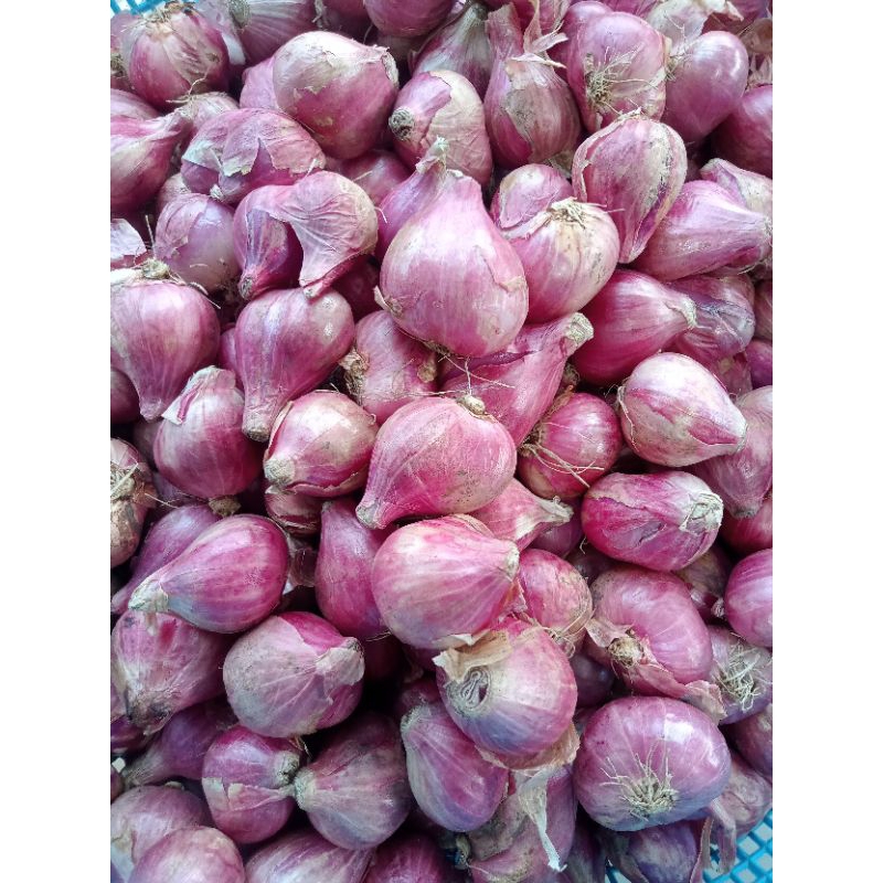 

Bawang MERAH Kering Bersih Sehat