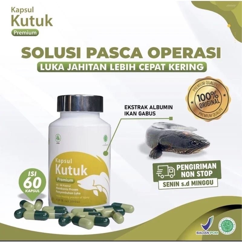 Kapsul Kutuk Premium Asli 100% Original - Kapsul Kutuk Ikan Gabus - Kapsul Kutuk Albumin - Kapsul Ku