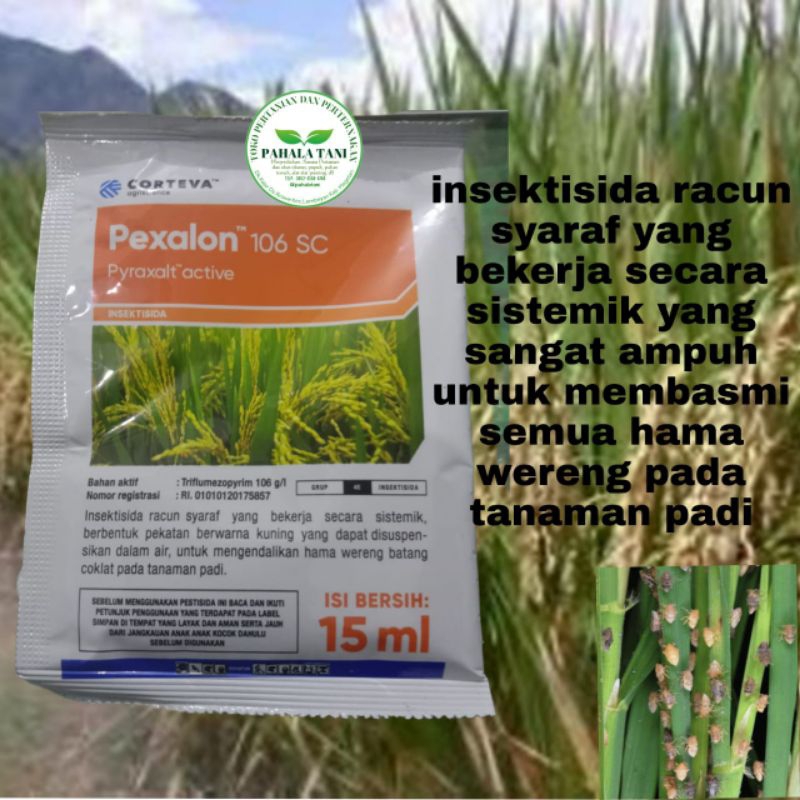 pexalon 106sc/triflumezopyrim/insektisida/hama wereng/racun wereng/insektisida wereng