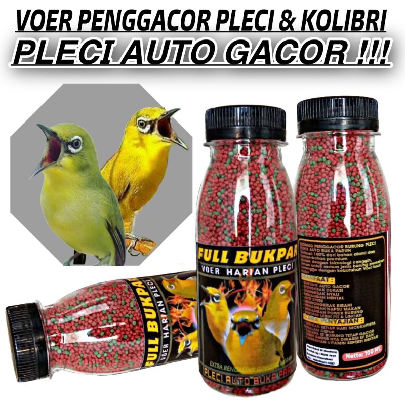 FULL BUKPAR RED VOER PENGGACOR PLECI AUTO GACOR BUKA PARUH obat malas bunyi Anti stres pakan rajin b