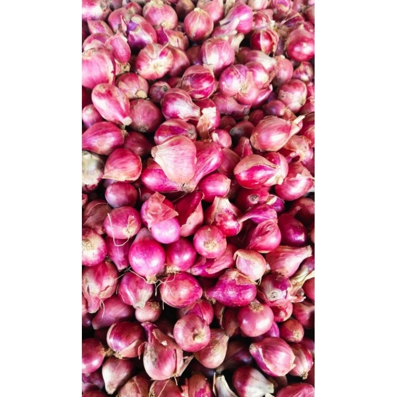 

Bawang Merah Campur Rancak 1kg