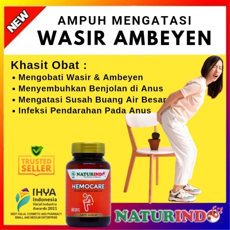 OBAT WASIR AMBEIEN STADIUM 1 SAMPAI 4 PALING AMPUH HERBAL AMBEYEN HEMOROID HEMOCARE NATURINDO COD