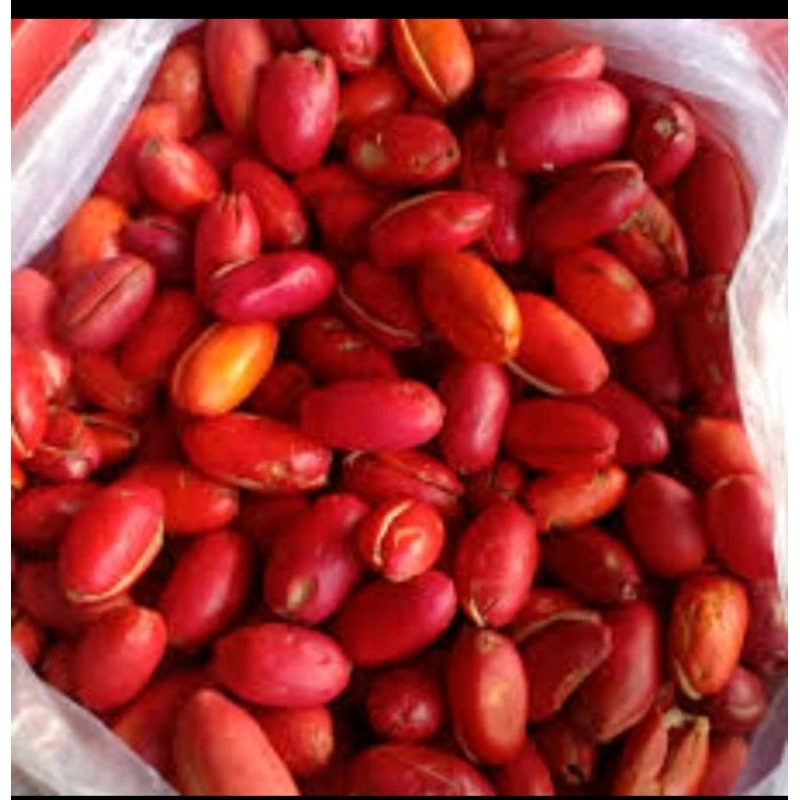 

Kulit Melinjo Fresh 250gr