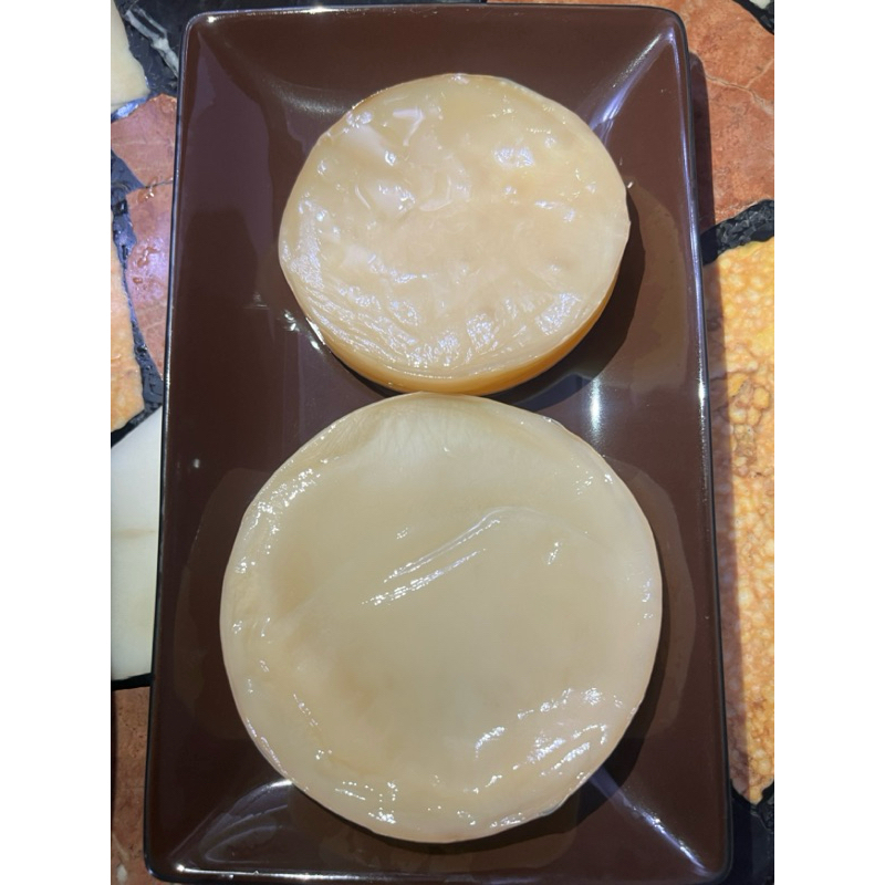 

SCOBY KOMBUCHA + Starter