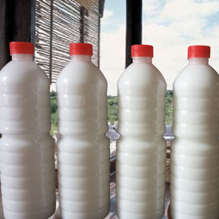 Semir dan Motor 1liter Berkualitas Wetlook