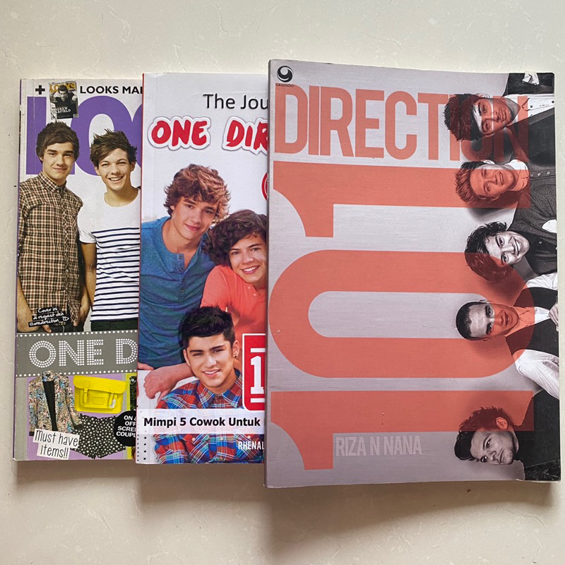 Unofficial One Direction Book - Buku 101 Direction, The Journey of One Direction, Looks Magazine / M