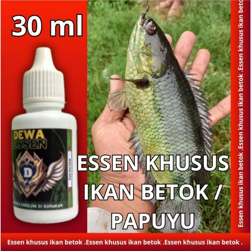 Essen Ikan Betok liar papuyu betik paling ampuh