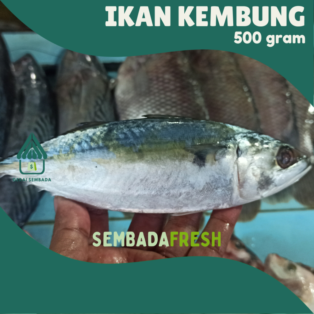 

Ikan Kembung 500 gram - SEMBADA FRESH [Pengiriman Instant]