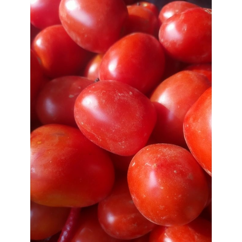 

tomat 250gram