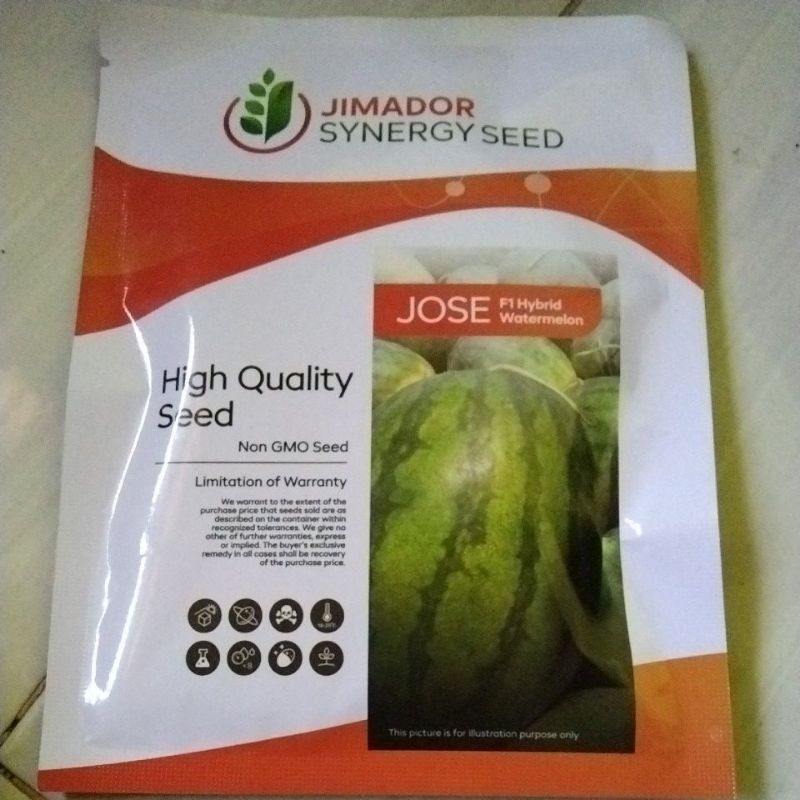 benih semangka Jose lonjong non biji 100g import