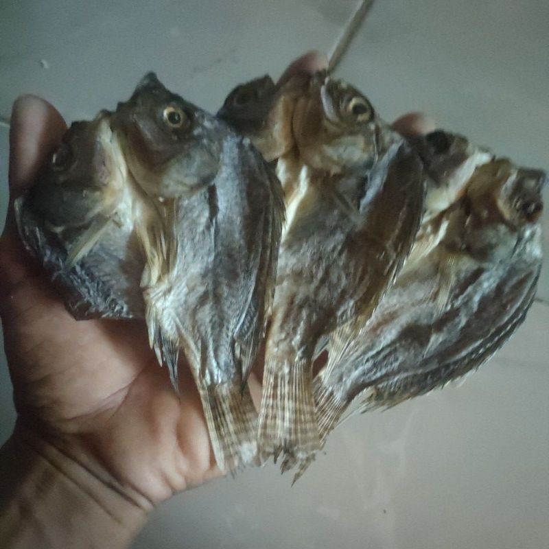 

ikan nila kering asin khas lamongan