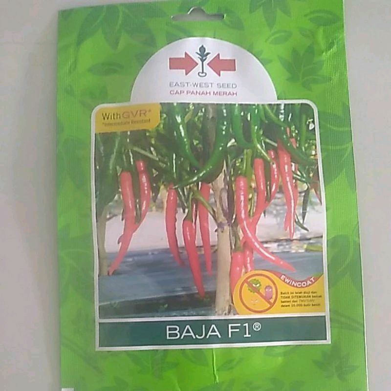 Benih Cabe Besar Baja F1 Isi 125 Butir Benih Cabe Baja F1