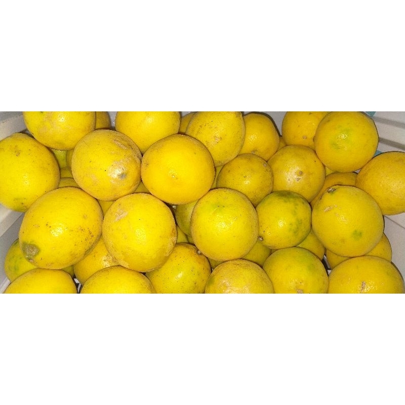 

lemon california lokal 500 gram