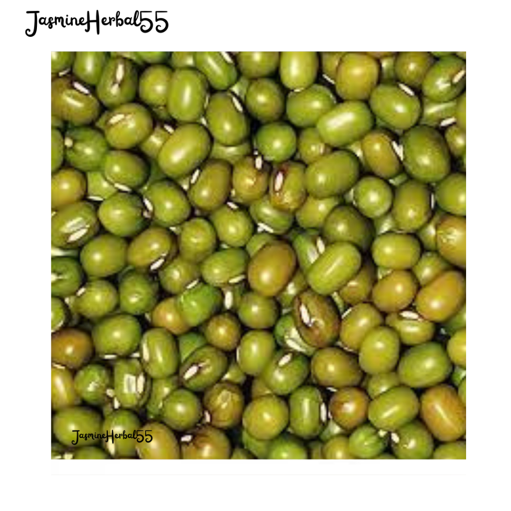 

Kacang Hijau Large Green Mung Beans Kualitas Super Import