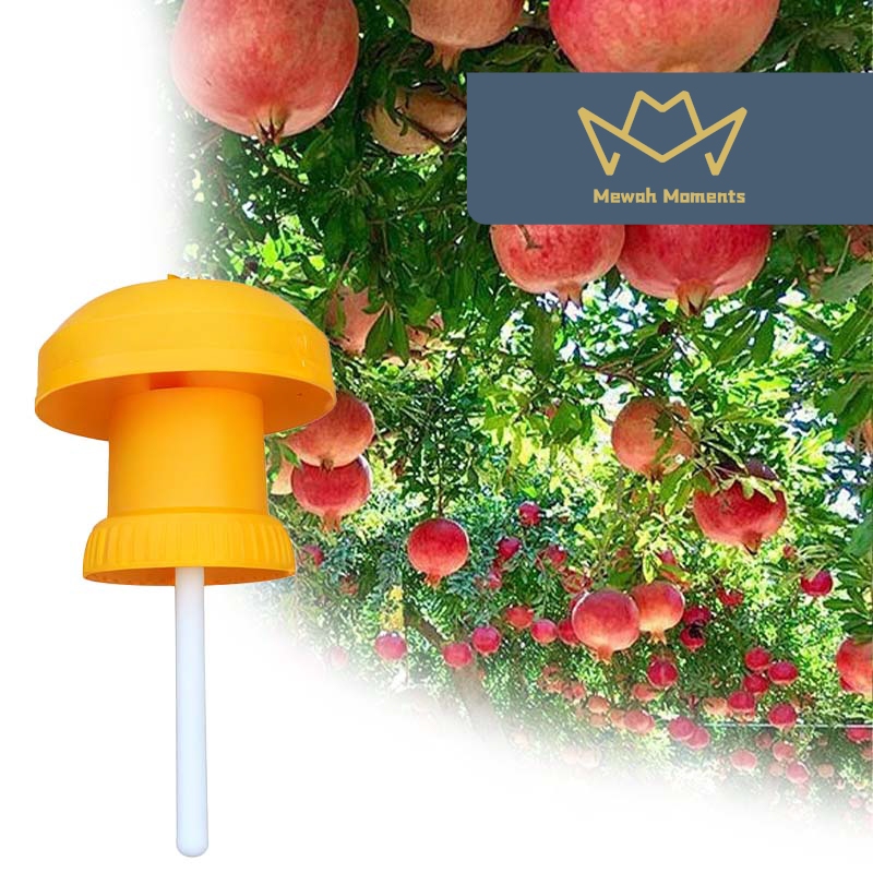 Perangkap Lalat Buah - Yellow Trap Obat Lalat Buah Murah Perangkap Lalat