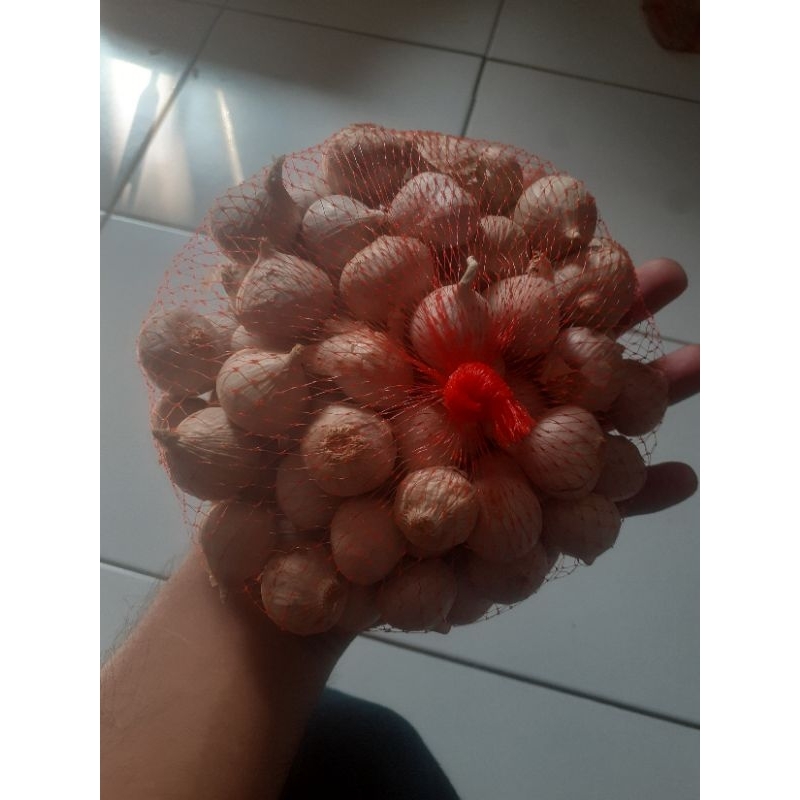 

bawang tunggal asli 250gram