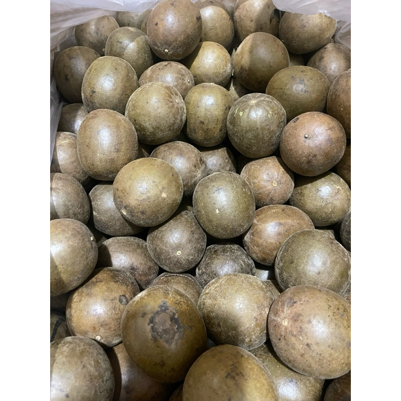 

Buah Lohankuo/Lohan Kuo Premium Gold/Emas & Hitam