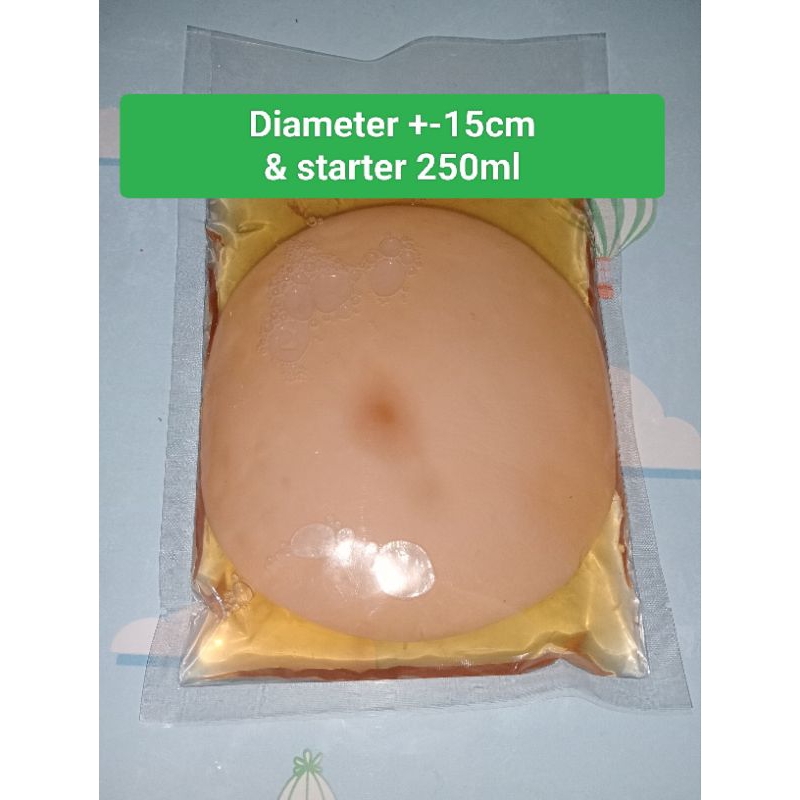 

scoby kombucha grosir 3pak/bibit kombucha 15cm/ scoby kombucha SEDANG dapat 3pcs termasuk starter @250ml