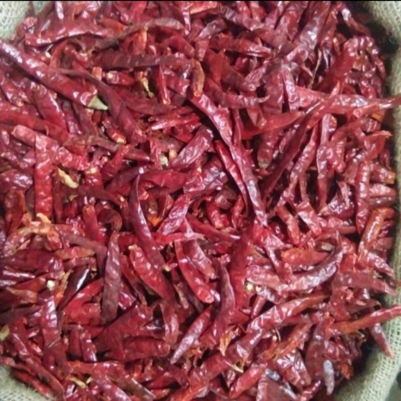

RB Cabe Teja / Rawit Kering Super Pedas 500 gr - 1 kg